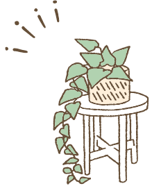 植物